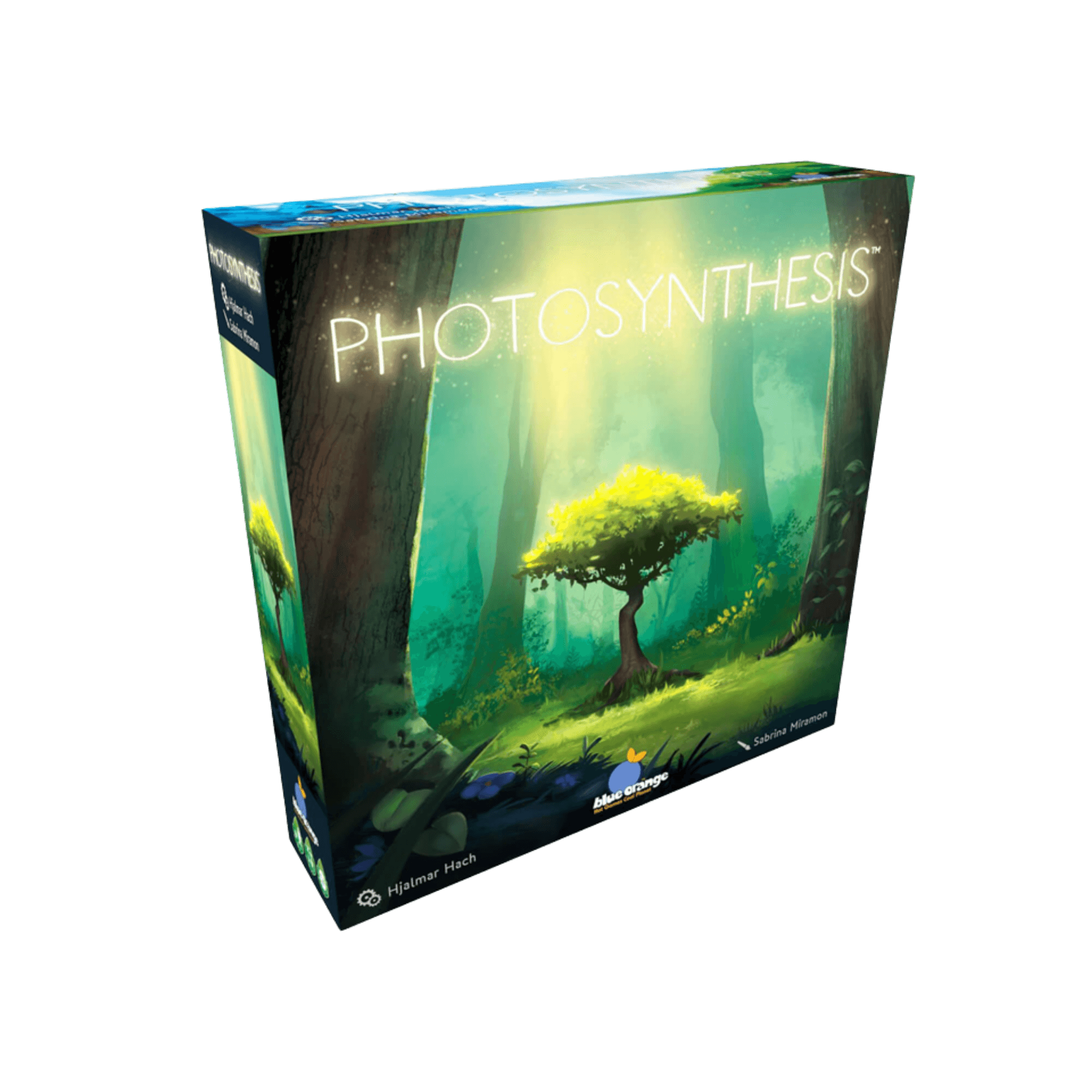 Photosynthesis