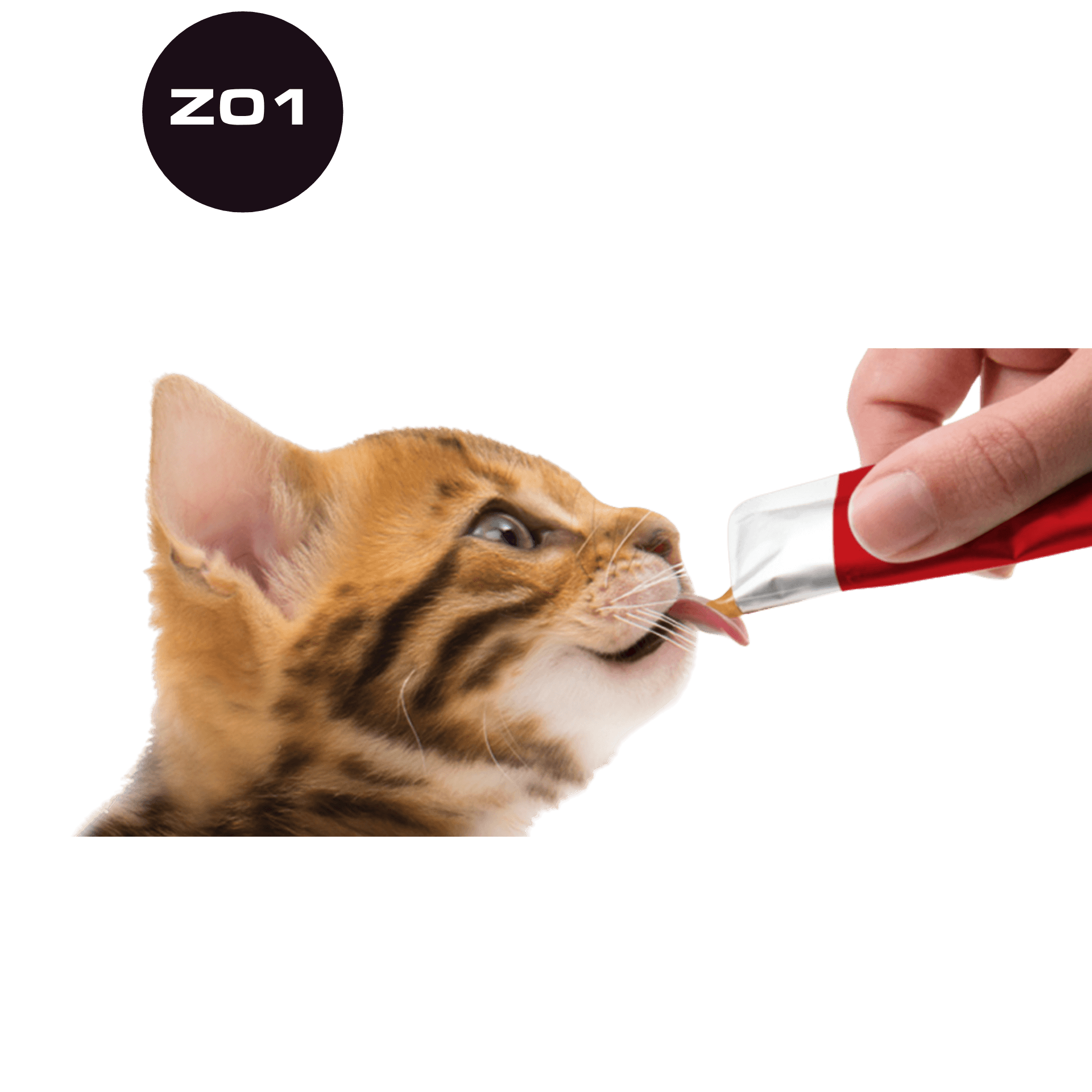 Cat Treats — Limited Supply