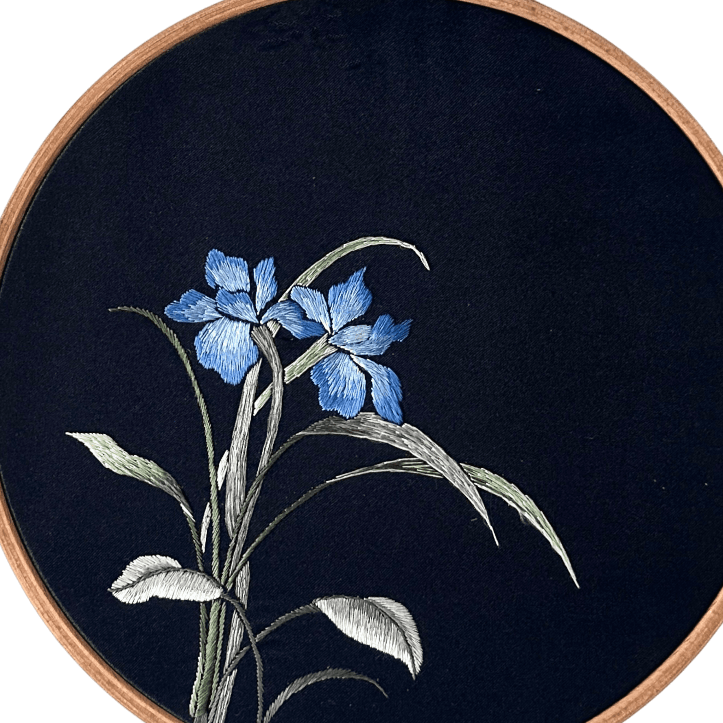 Orchid · Warm Calm of the Valley
