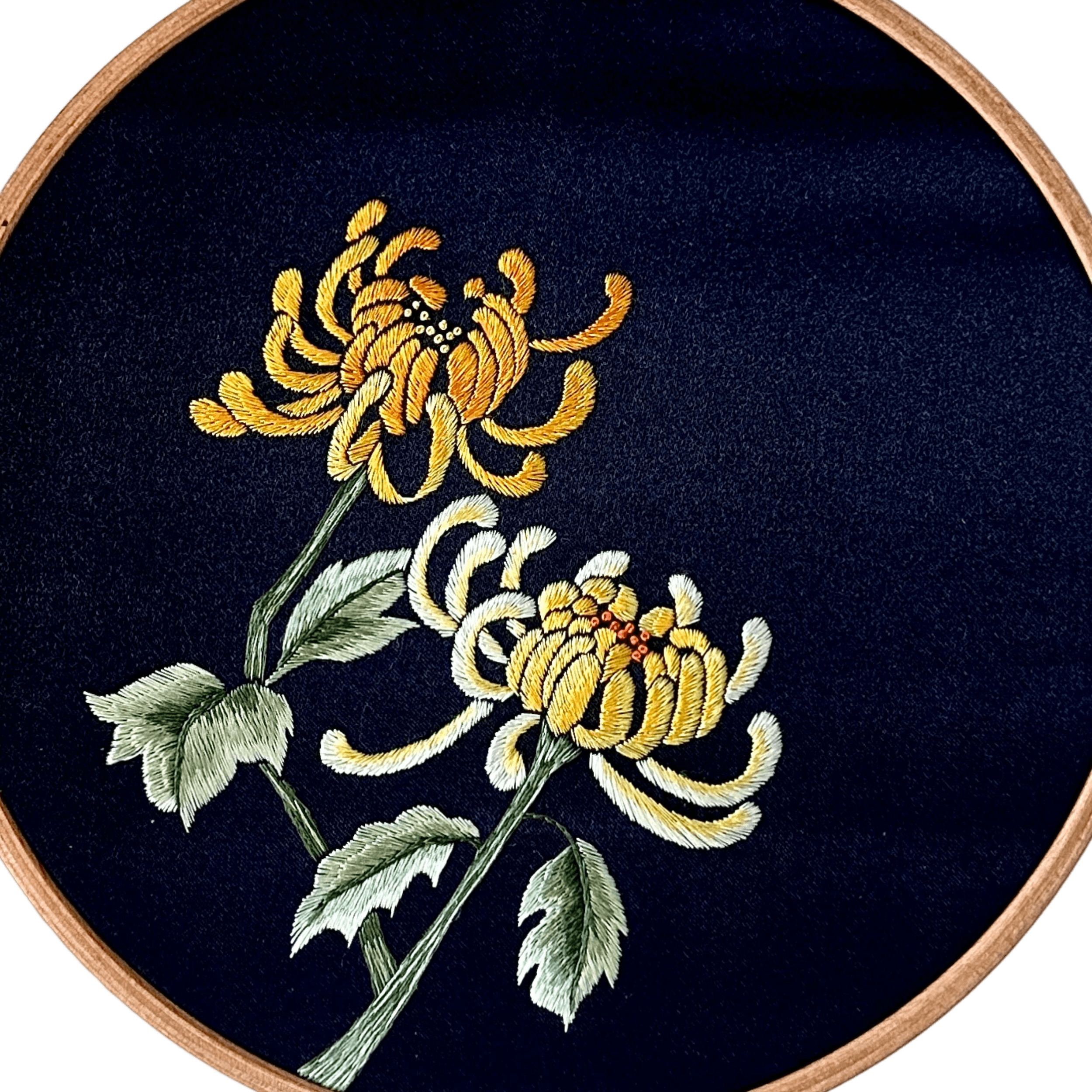 Chrysanthemum · East Hedge in Autumn
