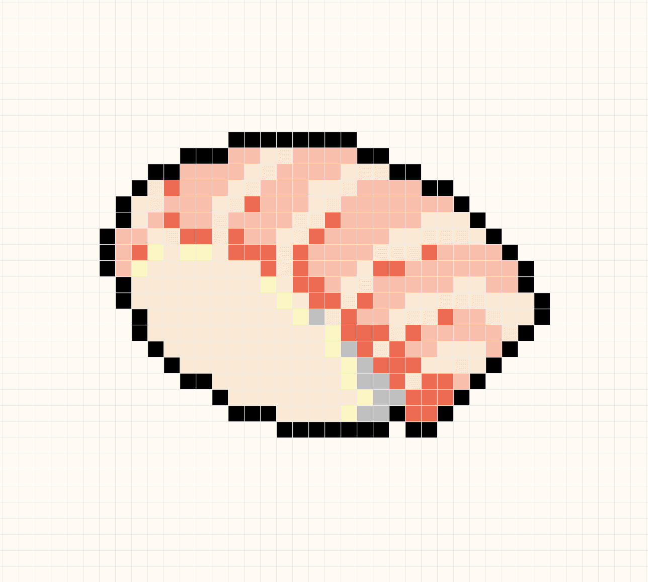 Salmon Sushi